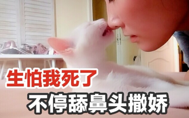 感冒了，亲妈怕传染猫，晚上给我隔离了，早上走出房间的一刻，猫像狗一样飞奔过来！不停舔我鼻头撒娇！太温暖了！