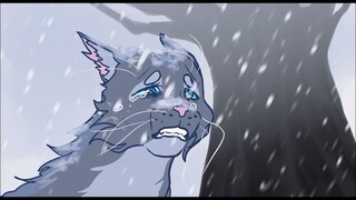 Bluestar lost Mosskit | Warrior Cats