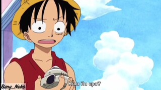 "Usopp dihina oleh kerang!" 😂  random banget emang kelakuan kapten SHP 😂