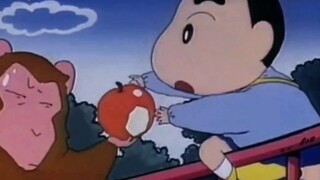 Crayon Shin-chan: Anh cả! Cua, bạn làm rơi quả táo!