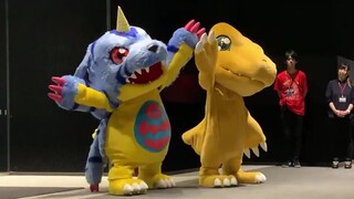 Cute Agumon and Gabumon