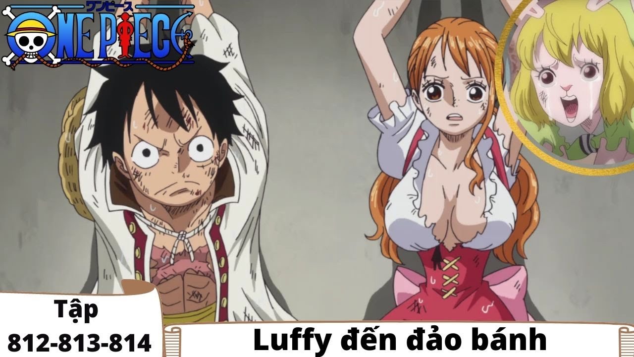 One Piece Tập 812 813 814 Luffy đến đảo Banh đảo Hải Tặc Tom Tắt Anime Bilibili