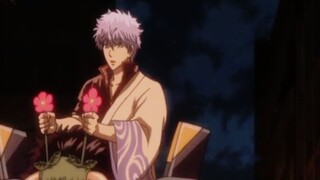 Gintama X EVA! Tingkat sinkronisasi 100000%! [Gintama]