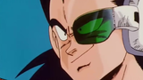 Raditz from the parallel world