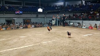 2hits first fight win