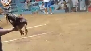 win