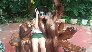 monyetnya menang banyak