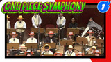 One Piece Symphony For One Piece Fans_1