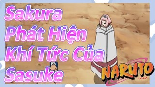 Sakura Phát Hiện Khí Tức Của Sasuke