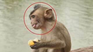 First Time To See Funny Cute Face Lola Eating Orange, My Princes Better Now Can Eat And Walk