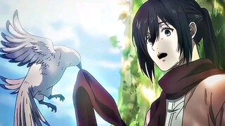 Attack on Titan Final season Part 3 Bagian 2 || Cuplikan