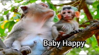 Beautiful Baby Monkey!!, Oops! BABY Monkey Make His Self To Get Happiness, Adorable Baby Monkey