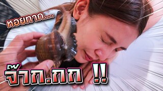 แกล้งพี่ดรีม !! หอยยักษ์ไต่หน้า ทุกคนจะไหวมั๊ย - DING DONG DAD