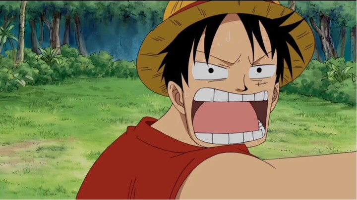 Luffy Funny Moment