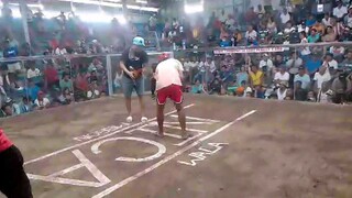 win new imus cockpit arena