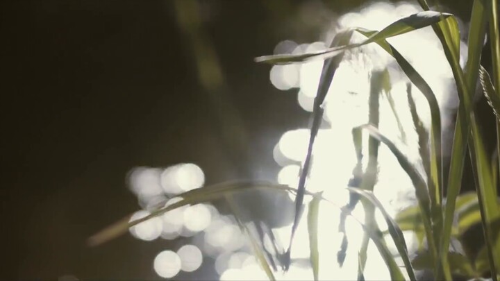 【ภาพถ่ายทางอากาศปลอดลิขสิทธิ์】“ริมธาร”