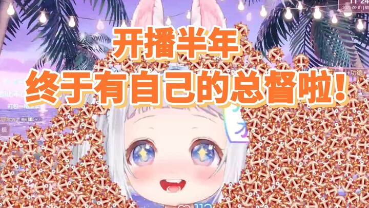 底边小V教你如何快速拿下总督