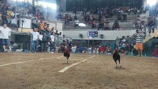 Texas cockpit arena Antipolo city.