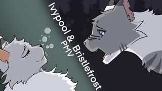 Ivypool | She's Not a Bad Kid PMV