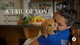 A Tail of Love 1080p HD English sub