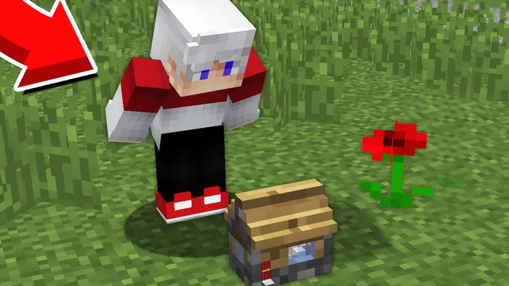 ฉันสร้างบ้านที่เล็กที่สุดใน MINECRAFT 100% Trolling Trap ผู้อยู่อาศัยในหมู่บ้าน Minecraft