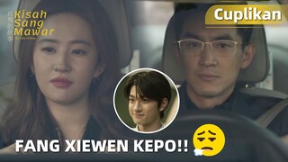 The Tale of Rose | Cuplikan EP38 Fang Xiewen Kepoin Kehidupan Pribadinya | WeTV【INDO SUB】