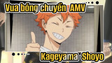 [Vua bóng chuyền!! AMV] [Kageyama & Shoyo] Những kẻ yêu chó