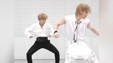 StrayKids Han Zhicheng HAN×Li Longfu Felix-Random Dance of Twins