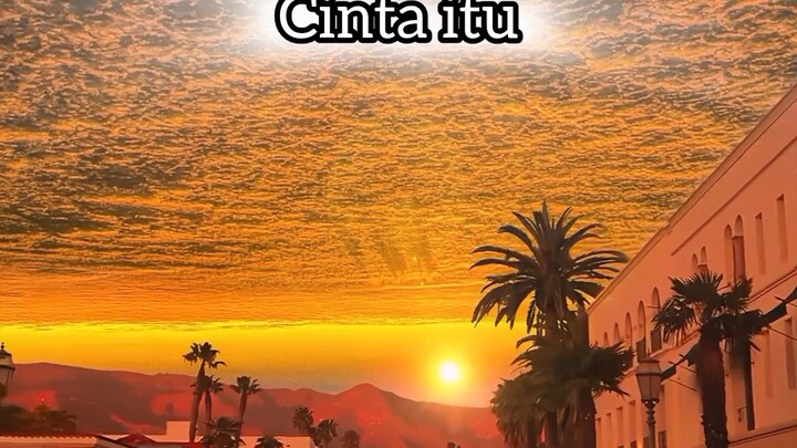 cinta