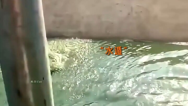 “论智取的重要性”