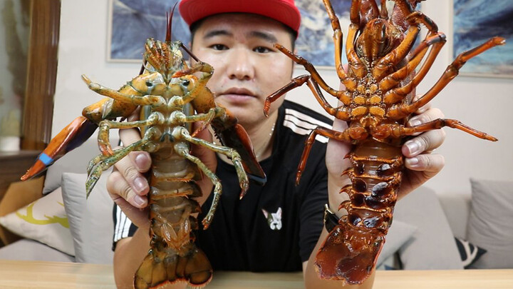 Special Challenge! Tempura Lobster Recipe
