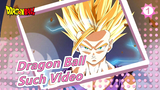 [Dragon Ball] Damn It, Who'll Watch Such Video? ㄟ( ▔, ▔ )ㄏ_1