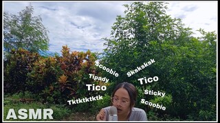 ASMR | เสียงปาก ~INTENSE~ DRY MOUTH SOUNDS [SK, TK, TICK, TIKO, ETC.] + NATURE SOUNDS 💚🍃🌻🌸