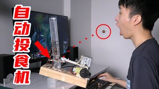 自制懒人【自动投食机】，非常好用！