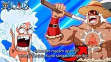 ONE PIECE 1116 FULL REVIEW