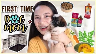 PAANO MAG ALAGA NG SHIH TZU PUPPY | DAPAT TANDAAN BAGO MAG ALAGA NG SHIH TZU (ESSENTIALS)