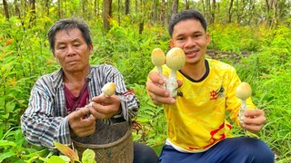 ในที่สุด!!เก็บเห็ดระโงกในป่าลับ ดอกใหญ่ๆกับพ่อแบบฟินๆ