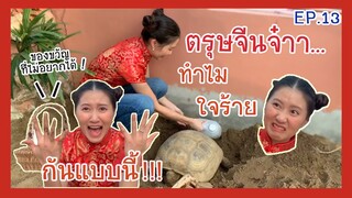 ของขวัญวันตรุษจีนจากสหายเต่าที่อยู่กันมา 10 ปี EP.13