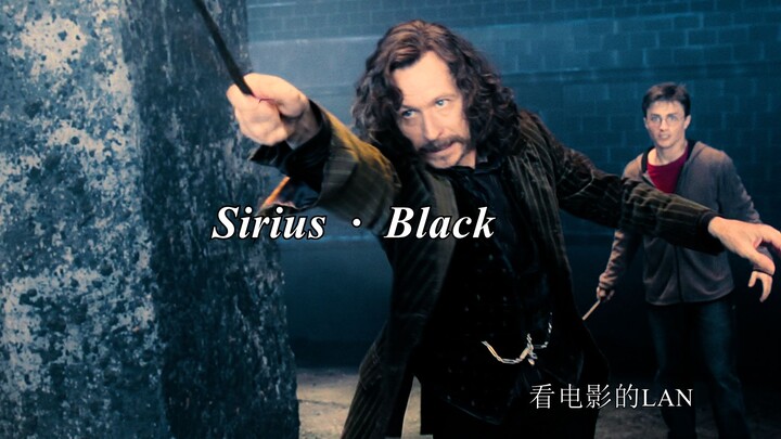 Saya harus mengatakan bahwa keanggunan Sirius adalah sesuatu yang tidak dapat Anda tiru. Anda telah 
