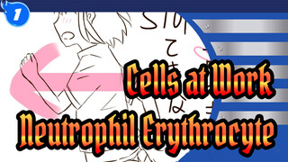 [Cells at Work!/Animatic] Neutrophil&Erythrocyte_1