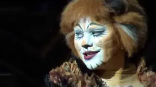 Cats (the Musical) 1