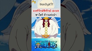 วันพีช:เทพคุมกฎซาโตริ #shorts #onepiece #roblox #bloxfruits #tiktok #fypシ #fyp #anime #gaming #game