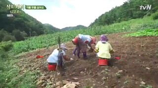 Three Meals a Day: Mountain Village Episode 9 Eng Sub