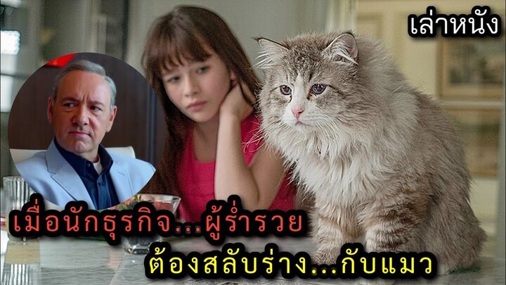 [เล่าหนัง] 🎬 เมื่อนักธุรกิจผู้ร่ำรวย...ต้องสลับร่างกับแมว