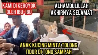 Cats Lovers Tv Di Keroyok Di Serbu Ibu-Ibu | Menyelamatkan Anak Kucing Yang Tidur Di Tempat Sampah.!