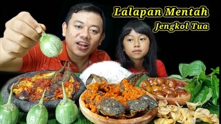 MUKBANG JENGKOL MENTAH IKAN ASIN LALAPAN MENTAH SAMBAL TERONG BALADO + IKAN LELE #mukbang #asmr