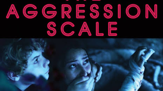 The Aggression Scale 2012