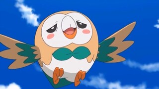 Một chiếc Pokemon Cú Rowlet Dễ thương hết lấc