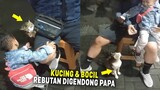 LUCU & MENGGEMASKAN.! Kucing dan Anak Kecil Rebutan Digendong Papa ~ Video Kucing Lucu Tiktok 2023