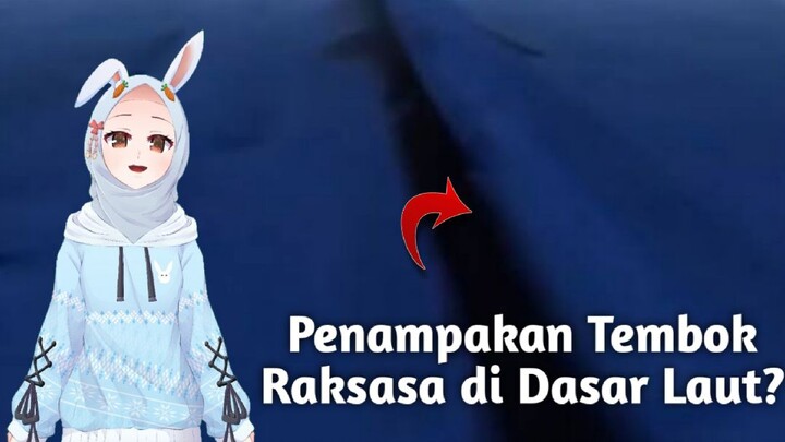 Penampakan Tembok raksasa di dasar laut?